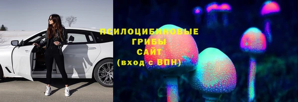 стафф Алексеевка