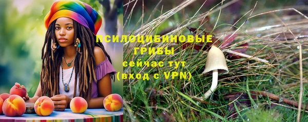 стафф Алексеевка
