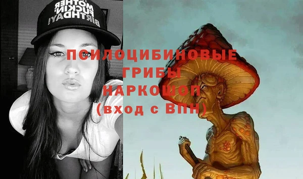 сатива Сатка